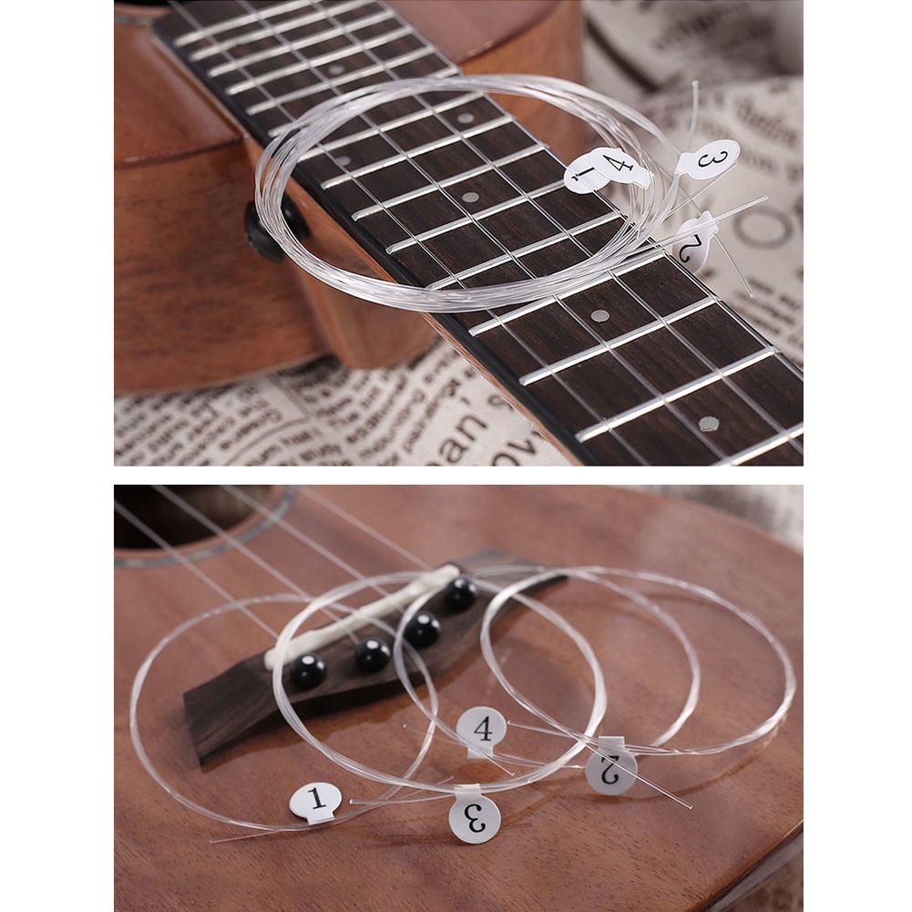 Senar karbon Ukulele untuk Sop - Ukulele Beginner Kit ulasan dan harga